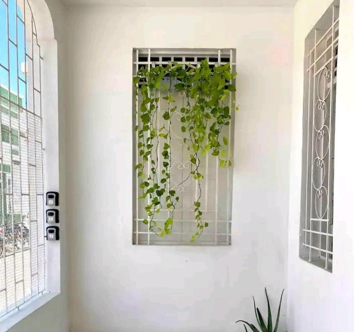 La Casa De Herly Homestay Santa Marta (Magdalena)